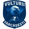 Vulturii Fărcăşeşti
